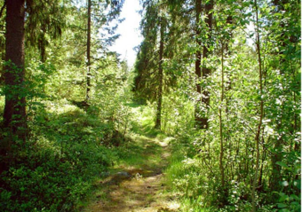Lufta Camping & Restaurang Ånäset Buitenkant foto